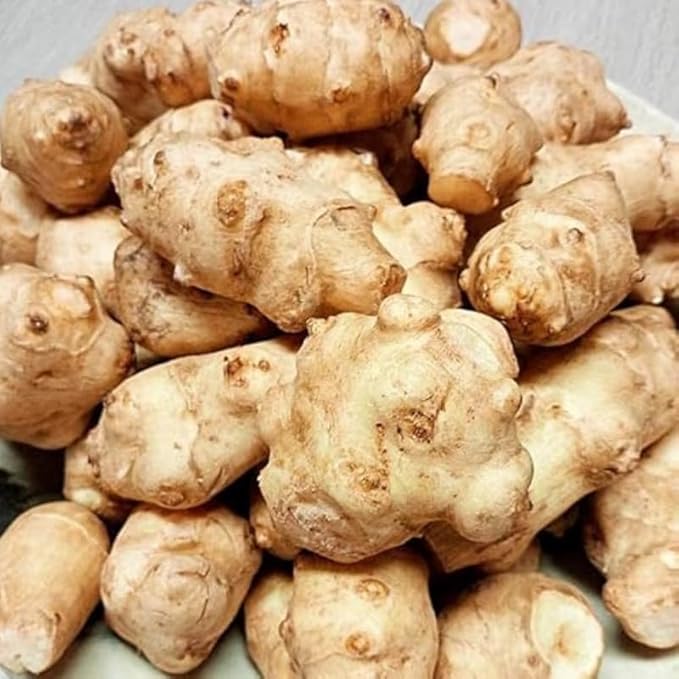 1/2 Lb Jerusalem Artichoke Tubers for Planting, Fresh Sunroots Sunchokes, Edible Hardy Roots for Home Garden or Raised Beds