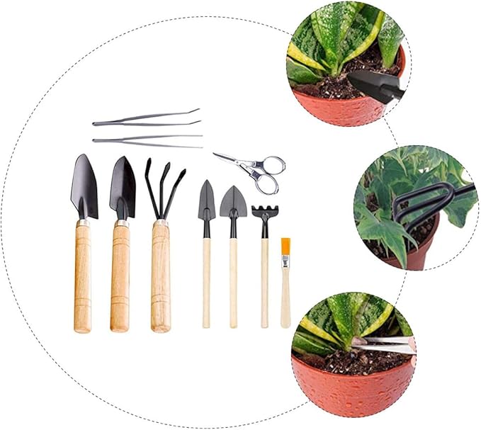 Luxshiny 10Pcs Mini Bonsai Gardening Tools for Succulent Planting and Transplanting Handheld Kit for Indoor Plants Easy to Carry and Clean
