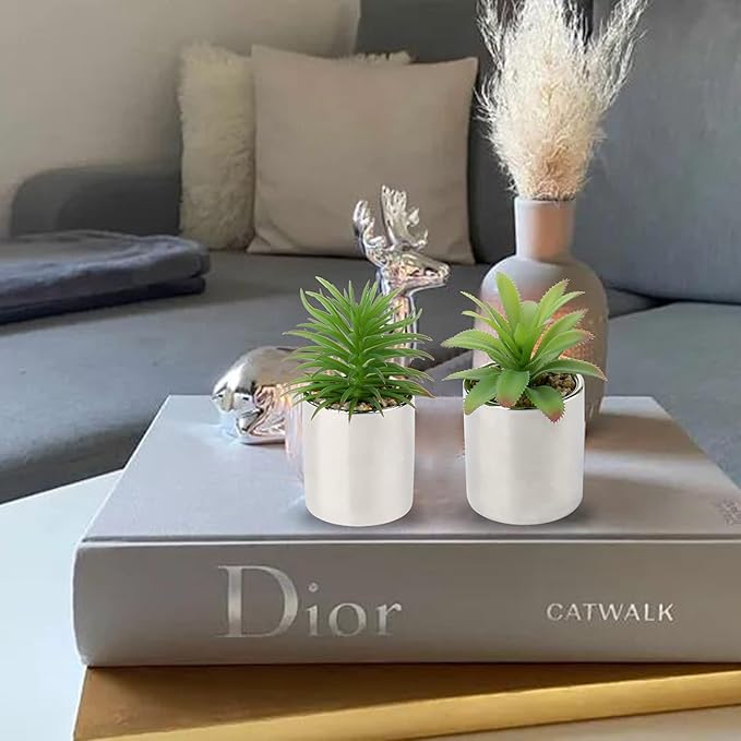Briful Small Artificial Succulents in Pots Set of 2 Realistic Faux Succulents Plants with Silver Ceramic Pots Cute Mini Fake Plants Decor for Modern Home Table Office Desk Bathroom Shelf Decoration