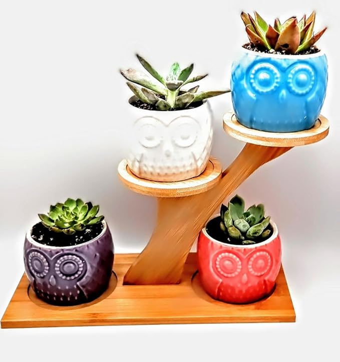 Blisse Wood Owl Planter (Purple)
