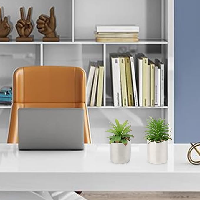 Briful Small Artificial Succulents in Pots Set of 2 Realistic Faux Succulents Plants with Silver Ceramic Pots Cute Mini Fake Plants Decor for Modern Home Table Office Desk Bathroom Shelf Decoration