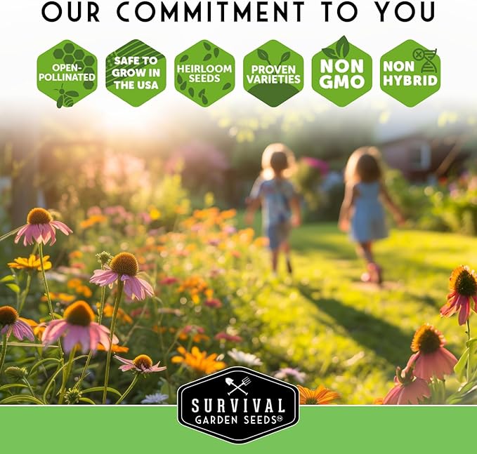 10 Flower Seed Collection for Planting | Zinnia, Sunflower, Marigold, Snapdragon, Nasturtium, Morning Glory, Chamomile, Shasta Daisy, Purple Coneflower, Four O’Clock - Survival Garden Seeds