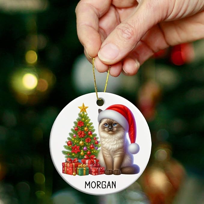 Customized Siamese Cat Ceramic Ornament with Name, Personalized Siamese Christmas Ornament 2025, Cat Christmas Tree Ornaments Gift for Men Women Pet Lover, Pet Wearing Santa Hat Xmas Decor