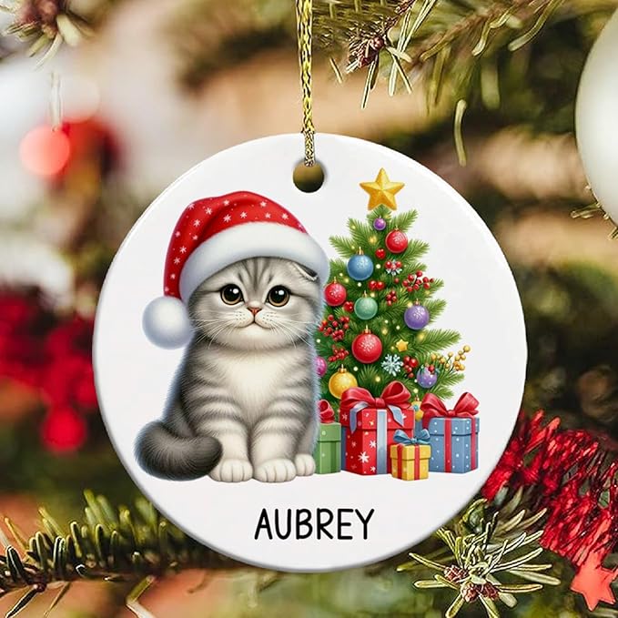Personalized Scottish Fold Christmas Ceramic Ornaments, Scottish Fold Ornament with Custom Name, Cat Christmas Tree Ornament 2025, Gift for Cat Dad Mom Pet Owner, Pet Lovers Xmas Keepsakes