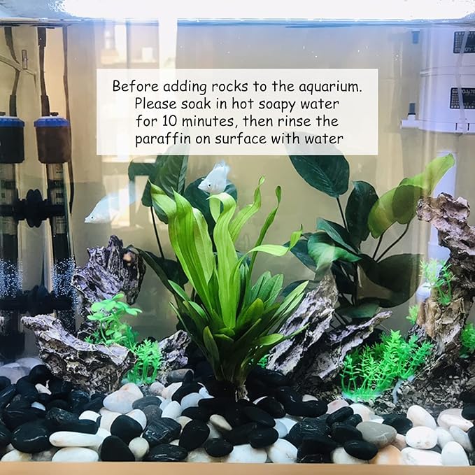 10 lbs Black Pebbles for Plants, 2-3 inch Large River Rocks for Plants, Decorative Stones for Planters Vase Aquarium Fish Tank and Outdoor Garden Landscaping