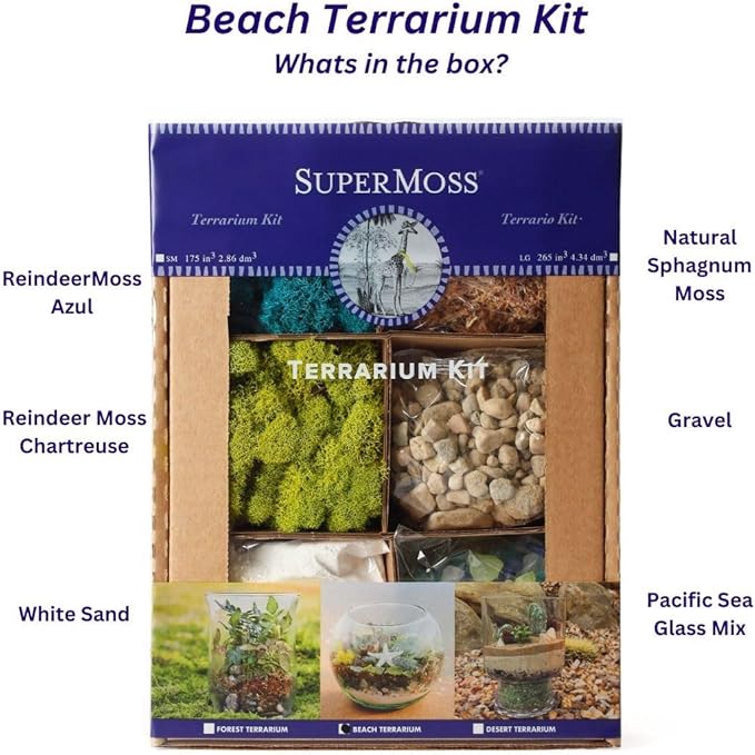 SuperMoss (90422) Beach Terrarium DIY Kit – Create Stunning Nature-Inspired Mini Gardens – Perfect for Home Decor, Office Gifts, and Plant Lovers, Appx 4 Oz