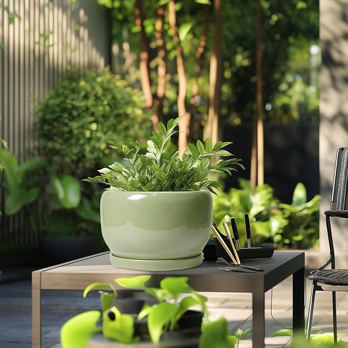 SQOWL Ceramic Planter - 10 Inch Pot for Plants Indoor Outdoor, Round Modern Flower Pot with Drainage Hole and Saucer, Decorative Large Planter, Office Decor, Plant Lovers Gifts, Green