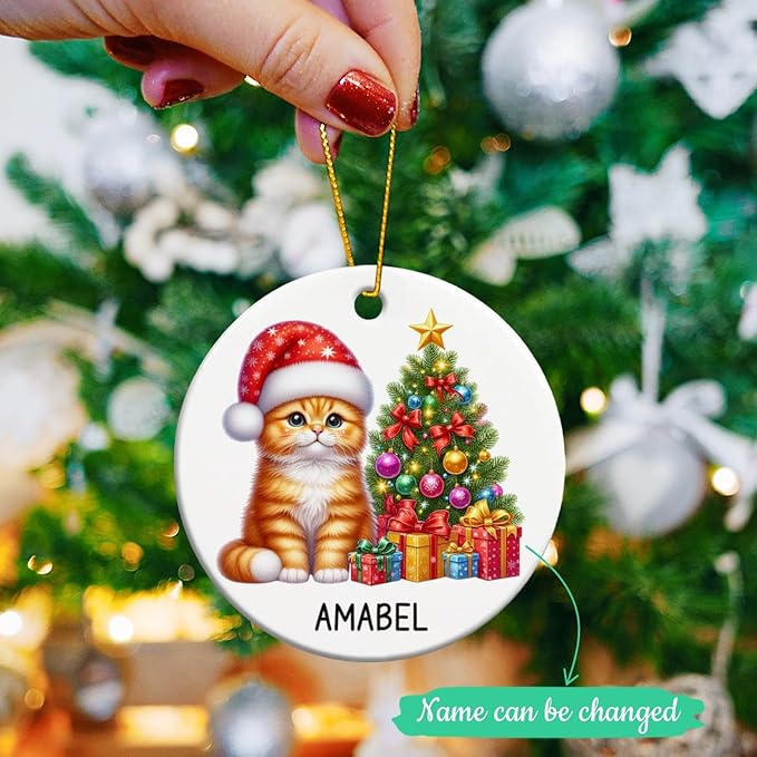 Personalized Orange Tabby Christmas Tree Ornament, Orange Tabby Ceramic Ornaments for Cat Dad Mom, Custom Name Cat Lover Christmas Ornament 2025, Gift for Brother Sister Friend Pet Lover