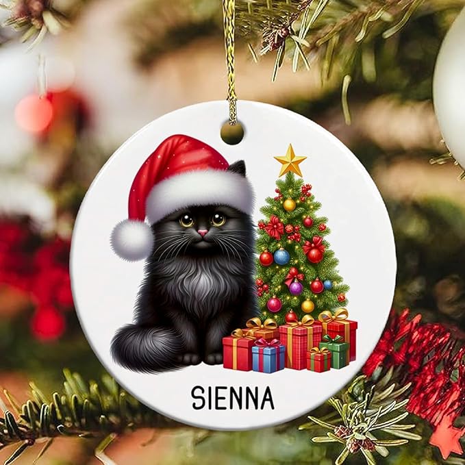 Personalized Black Cat Christmas Ornament with Name, Custom Black Cat Ceramic Ornaments Xmas 2025, Pet Christmas Tree Ornament for Pet Owner, Keepsake Gift for Children Family Friend Coworker