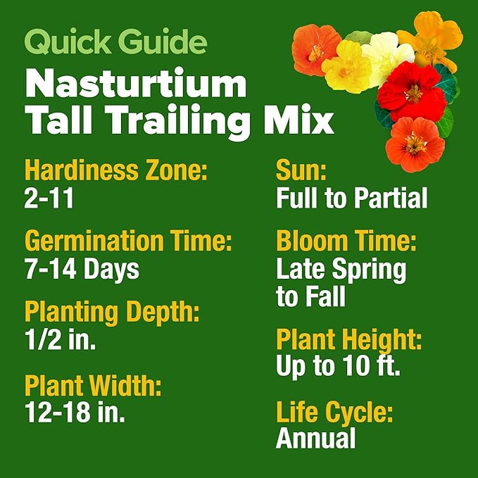 HOME GROWN Nasturtium Seeds Dwarf Tall Trailing Mix – 250+ 𝗡𝗢𝗡-𝗚𝗠𝗢 Edible Flower Seeds for Planting Outdoors – Fast Germination, Low-Maintenance Climbing & Trailing Nasturtium (Tropaeolum majus)