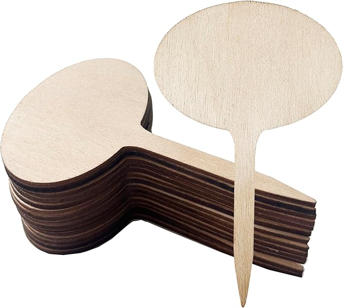 100 Pcs Wood Plant Labels, Natural Wooden Plant Marker Garden Sign Tags, Oval Type Garden Markers for Succulents, Herbs, Seedlings, Potted, Flowers, Vegetables (Oval)