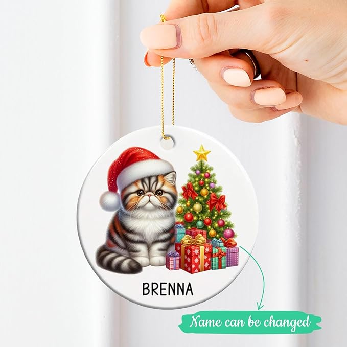 Personalized Exotic Shorthair Ceramic Ornaments, Exotic Shorthair Ornament with Custom Name, Cat Santa Hat Christmas Ornament 2025, Gift for Cat Lover Family Friend, Pet Christmas Tree Decor