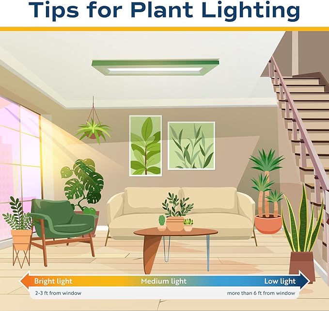 Costa Farms Live Indoor Plant Bundle in Plastic Pots, Easy to Maintain, Air Purifying Houseplants, Assorted Varieties, Room or Home Decor, House Warming Gift, 8-12 Inches Tall, Pack of 6