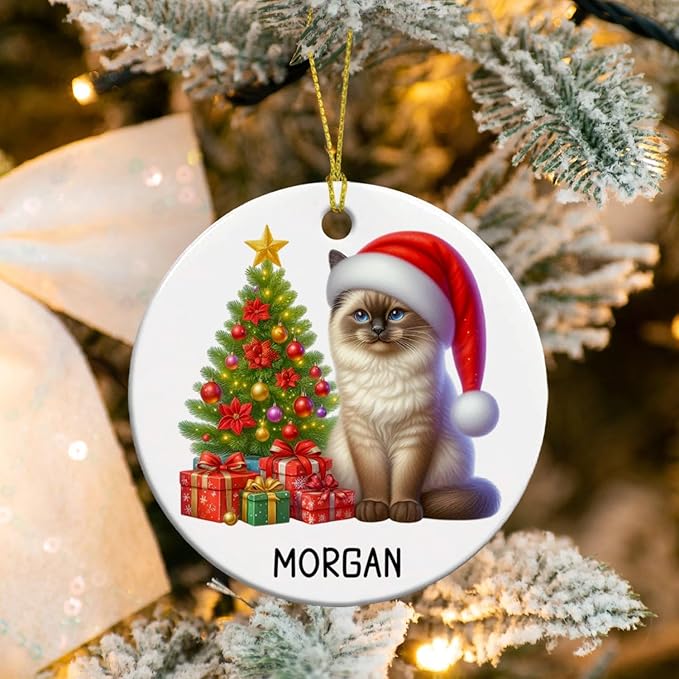 Customized Siamese Cat Ceramic Ornament with Name, Personalized Siamese Christmas Ornament 2025, Cat Christmas Tree Ornaments Gift for Men Women Pet Lover, Pet Wearing Santa Hat Xmas Decor