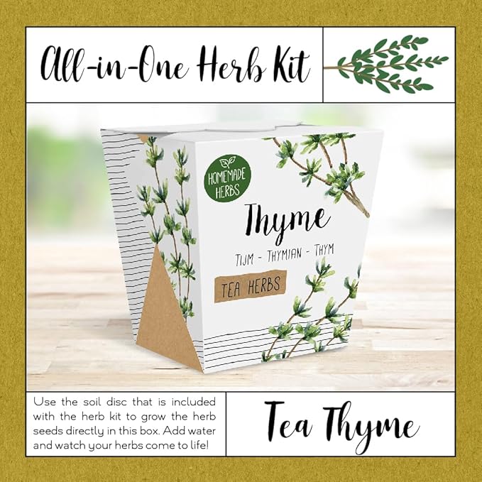 Homemade Herb Kit – All-in-One Tea Thyme – Indoor Garden Planter - Grow Your own Tea Herbs – Live Seeds Ready to Plant – Pleasantly Scented