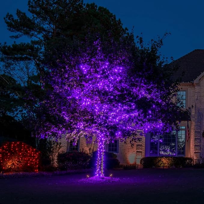 Upgrade 4 Pack Solar Christmas Lights Outdoor Waterproof 500 LED Solar String Lights with 19 Modes, Christmas Decoration Outdoor Waterproof Solar for Outside Tree Yard Party Purple