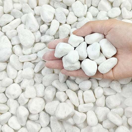 10 lbs White River Rocks for Garden, 0.5-1 Inch Pebbles for Indoor Plants, Decorative Stones for Landscaping, Succulent, Vases, Aquariums and Zen Garden