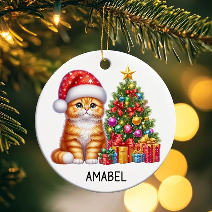 Personalized Orange Tabby Christmas Tree Ornament, Orange Tabby Ceramic Ornaments for Cat Dad Mom, Custom Name Cat Lover Christmas Ornament 2025, Gift for Brother Sister Friend Pet Lover