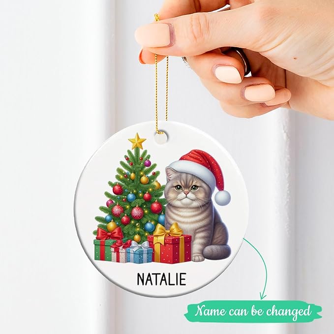 Personalized Name British Shorthair Ceramic Ornaments, Custom British Shorthair Ornament Christmas 2025, Cat Christmas Tree Ornament Gift for Cat Dad Mom Pet Owner, Pet Enthusiasts Presents