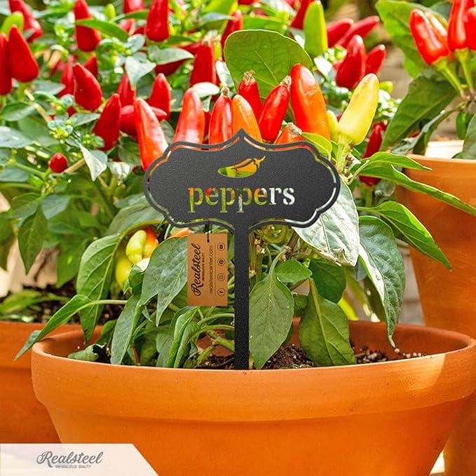 RealSteel - Seed & Plant Markers - Indoor/Outdoor Herb Garden Stakes - Elegant Fruit/Vegetable Seed Labels - Durable Plant Tags for Pots - Classy Design for Farmhouse/Greenhouse (Parsley)