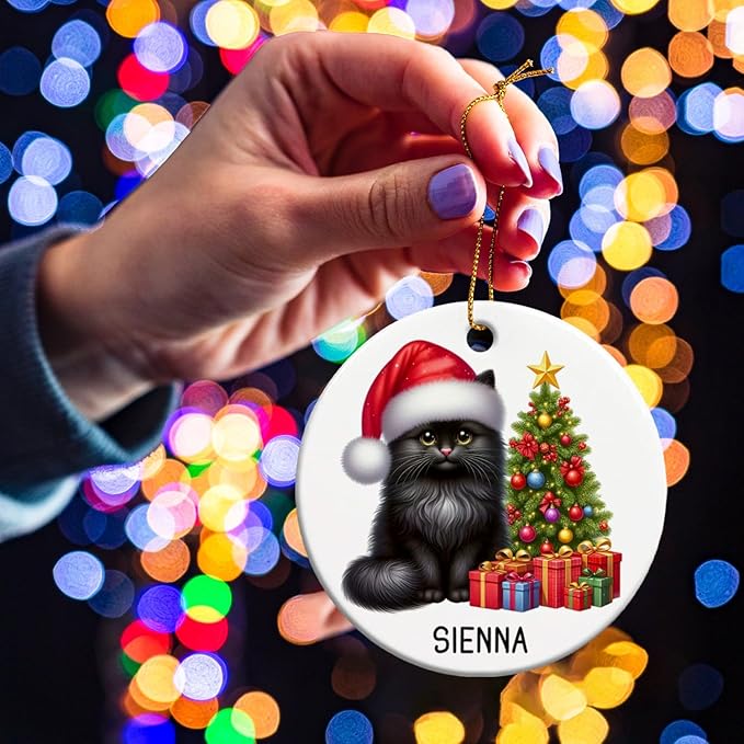 Personalized Black Cat Christmas Ornament with Name, Custom Black Cat Ceramic Ornaments Xmas 2025, Pet Christmas Tree Ornament for Pet Owner, Keepsake Gift for Children Family Friend Coworker