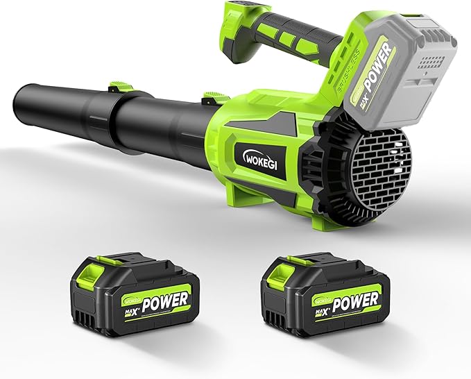 Leaf Blower Cordless, 580CFM Lightweight & Powerful Electric Handheld with 5+1 Speed Modes, Includes 2 Batteries & Fast Charger Kit for Lawn, Patio, Dust, Leaves, Car Drying and Light Snow