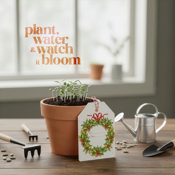 Christmas Plantable Gift Tags with Wildflower Seeds – Writable, Plantable Merry Christmas Tags, 4 Festive & Ornament Designs, Perfect for Holiday Gifts, Family & Friends (24 Tags (6 per Design)