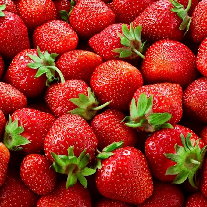 (Best) Jewel Strawberry Plants - Bare Root Plants to Grow Strawberries - Ready to Ship - (5 Strawberry Plants)