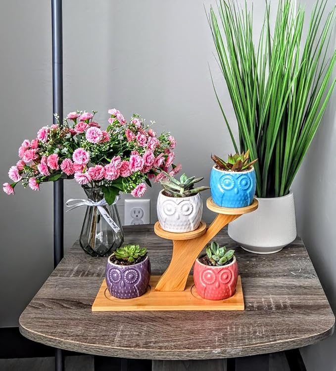 Blisse Wood Owl Planter (Blue)