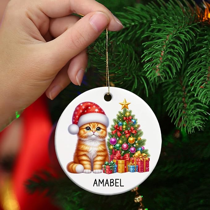 Personalized Orange Tabby Christmas Tree Ornament, Orange Tabby Ceramic Ornaments for Cat Dad Mom, Custom Name Cat Lover Christmas Ornament 2025, Gift for Brother Sister Friend Pet Lover