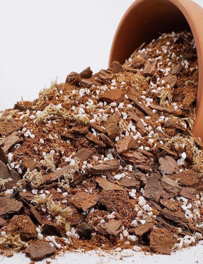 TOYPOPOR Orchid Potting Mix for Repotting (3qts) with Moss Pine Bark Mulch Perlite Stone and Coco Peat Natural Ingredients, Orchid Bark Potting Mix Orchid Repotting Kit Drainage Indoor Potting Medium