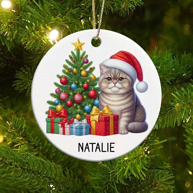 Personalized Name British Shorthair Ceramic Ornaments, Custom British Shorthair Ornament Christmas 2025, Cat Christmas Tree Ornament Gift for Cat Dad Mom Pet Owner, Pet Enthusiasts Presents