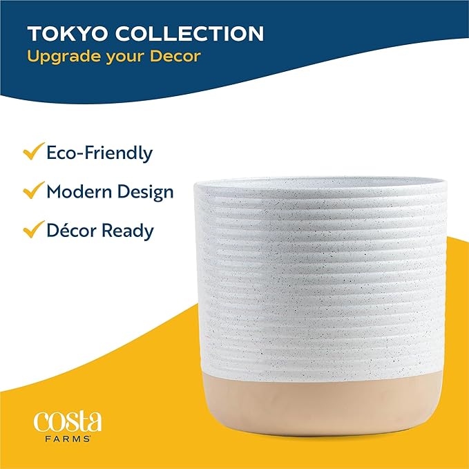 Costa Farms Fiddle Leaf Fig Tree Live Plant in Decorative Pot, Large Indoor Houseplant, Perfect for Home, Room, or Office Decor, Great House Warming or Birthday Gift, 3-4 Feet Tall