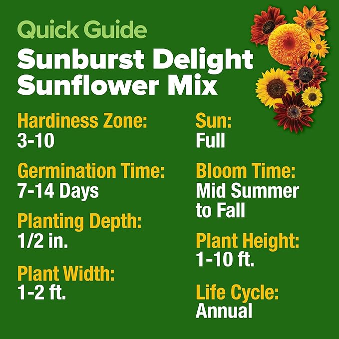 HOME GROWN Sunflower Seeds Mix Pack 1,500+ 9 Colorful Varieties of Sun Flower Seeds to Plant - 2-10ft Tall Plants, Pollinator Friendly 𝗡𝗢𝗡-𝗚𝗠𝗢 𝗨𝗦𝗔 – Easy to Grow, High Germination