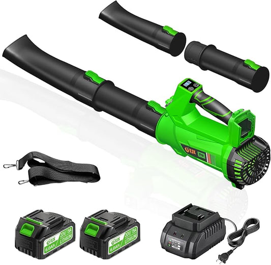 Electric Cordless Leaf Blower,540 CFM/170 MPH,Battery Powered with 2 x 6.0Ah Batteries,6-Speed & Turbo Mode,Lightweight for Lawn Care,Patio,Leaves,Dust
