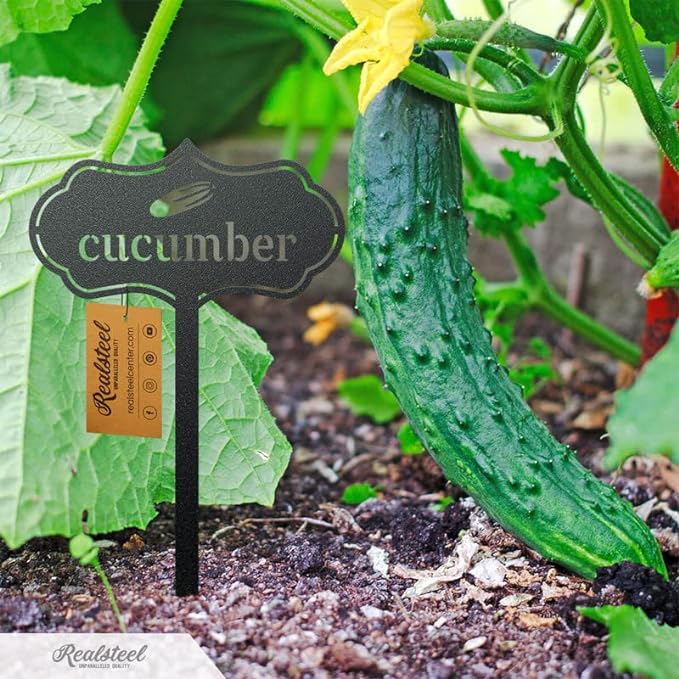 RealSteel - Seed & Plant Markers - Indoor/Outdoor Herb Garden Stakes - Elegant Fruit/Vegetable Seed Labels - Durable Plant Tags for Pots - Classy Design for Farmhouse/Greenhouse (Thyme)