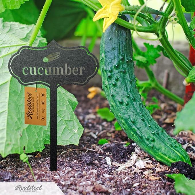 RealSteel - Seed & Plant Markers - Indoor/Outdoor Herb Garden Stakes - Elegant Fruit/Vegetable Seed Labels - Durable Plant Tags for Pots - Classy Design for Farmhouse/Greenhouse (Sage)