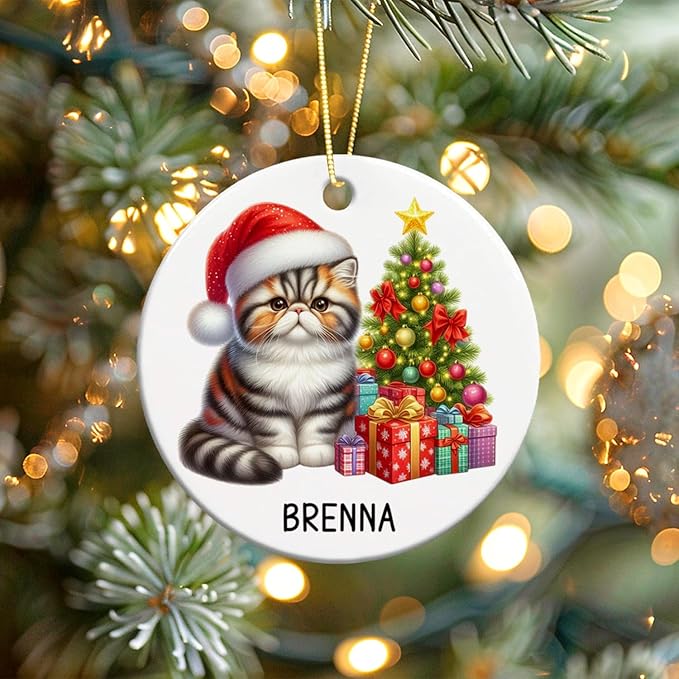 Personalized Exotic Shorthair Ceramic Ornaments, Exotic Shorthair Ornament with Custom Name, Cat Santa Hat Christmas Ornament 2025, Gift for Cat Lover Family Friend, Pet Christmas Tree Decor
