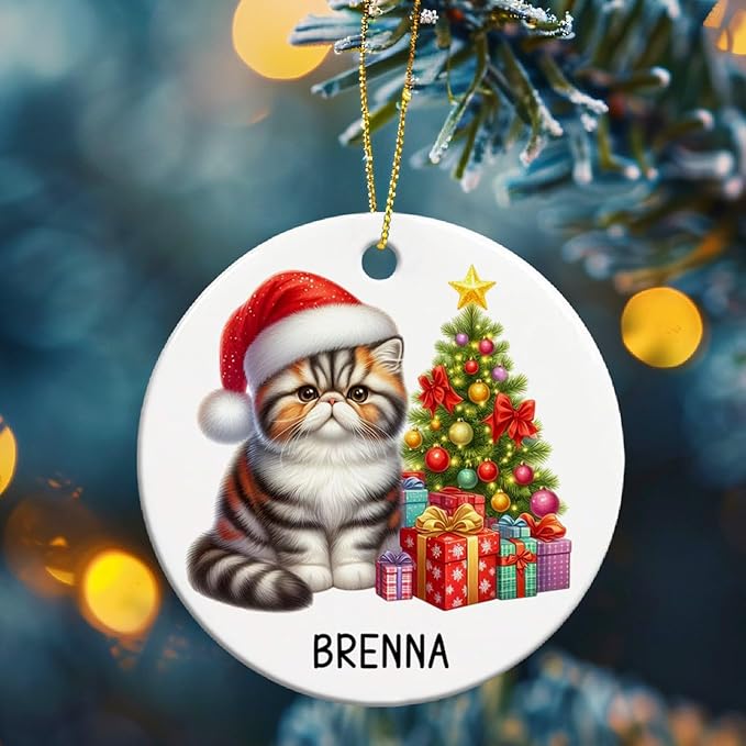 Personalized Exotic Shorthair Ceramic Ornaments, Exotic Shorthair Ornament with Custom Name, Cat Santa Hat Christmas Ornament 2025, Gift for Cat Lover Family Friend, Pet Christmas Tree Decor