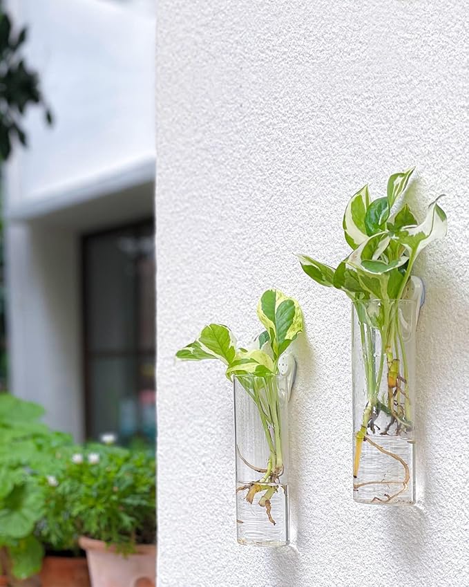 Propagation Station, Plants Terrarium, Plants Lover Gifts for Women,Plant Cutting Holder Home décor,Gifts for Women,House Warming New Home-4 Cylinder Shape