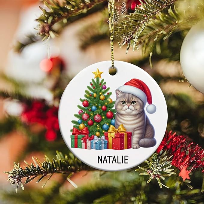Personalized Name British Shorthair Ceramic Ornaments, Custom British Shorthair Ornament Christmas 2025, Cat Christmas Tree Ornament Gift for Cat Dad Mom Pet Owner, Pet Enthusiasts Presents