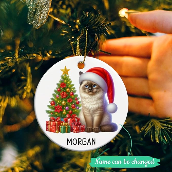 Customized Siamese Cat Ceramic Ornament with Name, Personalized Siamese Christmas Ornament 2025, Cat Christmas Tree Ornaments Gift for Men Women Pet Lover, Pet Wearing Santa Hat Xmas Decor