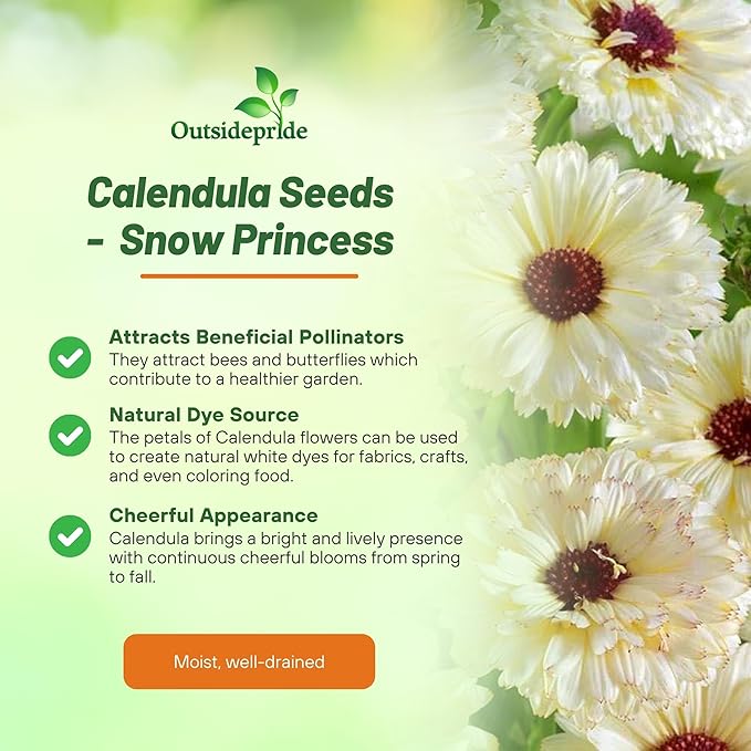 Outsidepride Snow Princess Calendula Seeds - 200 Pcs Annual Edible Flower Seeds for Planting for Dishes & Wellness Uses, with Vibrant Blooms for Cut Flower, Container, & Pollinator Gardens