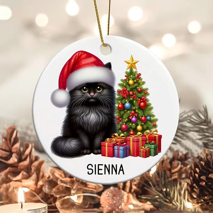 Personalized Black Cat Christmas Ornament with Name, Custom Black Cat Ceramic Ornaments Xmas 2025, Pet Christmas Tree Ornament for Pet Owner, Keepsake Gift for Children Family Friend Coworker