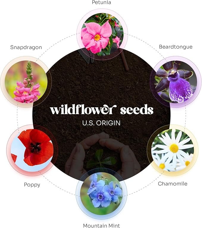 Butterfly Seed Paper – 50pcs Large Pink Plantable Wildflower, Writable & Plantable Gift for Moms, Plant Lover, & Teachers, Ideal for Weddings, Baby Shower, Memorial, & Celebrations