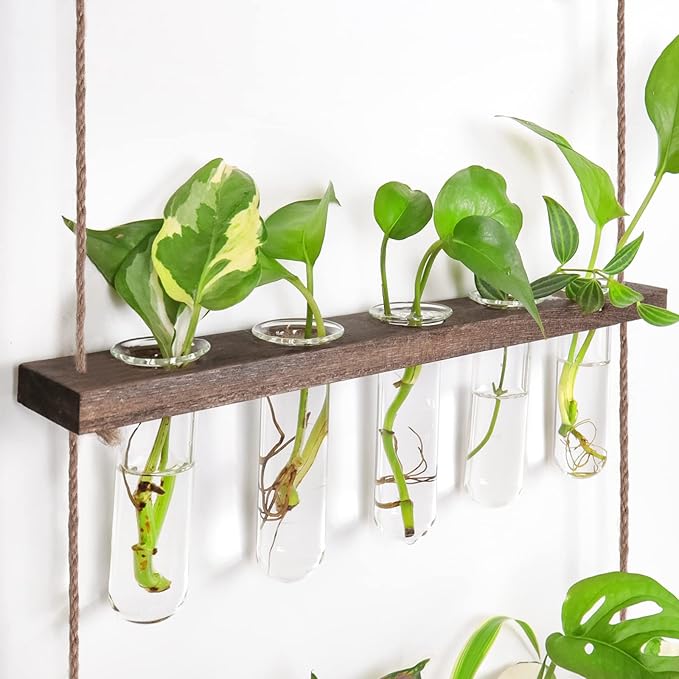 Propagation Station, Plants Terrarium, Plants Lover Gifts for Women,Plant Cutting Holder Home décor,Gifts for Women,House Warming New Home-15 Tubes-Brown