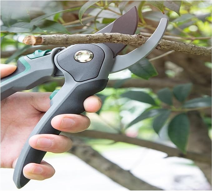 is an 8-inch long, SK-5 steel blade, tough and sharp gardening scissors suitable for trimming 3/4 fruit branches, flower branches, etc. It is a great helper for gardening