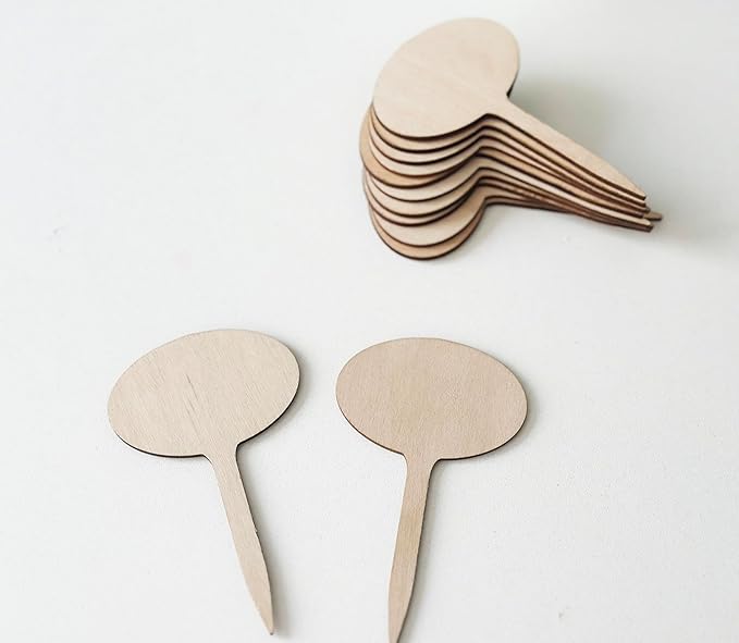 100 Pcs Wood Plant Labels, Natural Wooden Plant Marker Garden Sign Tags, Oval Type Garden Markers for Succulents, Herbs, Seedlings, Potted, Flowers, Vegetables (Oval)