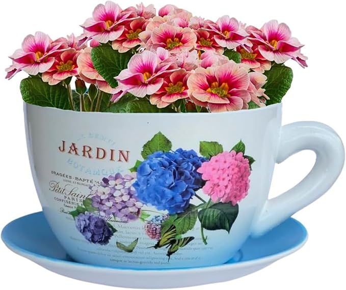 7.5" Ceramic Teacup Planter Pot with Saucer | Ideal for Succulents, Orchids, Herbs & Flowers | Indoor Use| Thoughtful Gift for Christmas, Birthday & More – Blue Hydrangea Jardin