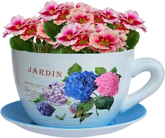 7.5" Ceramic Teacup Planter Pot with Saucer | Ideal for Succulents, Orchids, Herbs & Flowers | Indoor Use| Thoughtful Gift for Christmas, Birthday & More – Blue Hydrangea Jardin